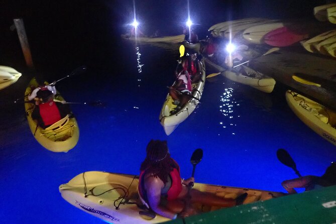 St Thomas Night Kayak Tour - The Mangrove Paddle: What You Do, What You Notice, and Why It Matters