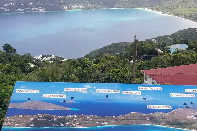 St. Thomas Shopping And Sightseeing Tour - Why This 4-Hour Taxi Safari Fits Cruise Day Timing