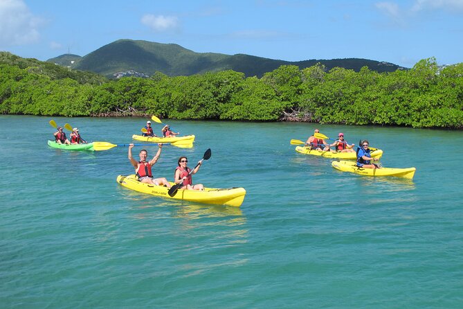 St Thomas Shore Excursion: Mangrove Lagoon Kayak and Snorkel Tour - First, The Lagoon Makes This Feel Effortless