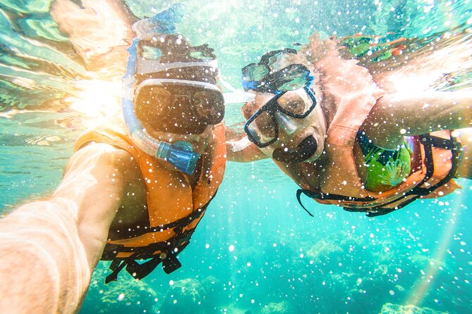 St Thomas Shore Excursion: Mangrove Lagoon Kayak and Snorkel Tour - Timing That Works With A Cruise Day (Most Of The Time)