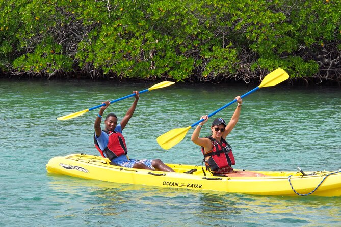 St Thomas Shore Excursion: Mangrove Lagoon Kayak and Snorkel Tour - Gear, Comfort, And What To Pack In The Real World