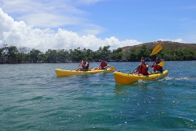 St Thomas Shore Excursion: Mangrove Lagoon Kayak and Snorkel Tour - Price And Value: $119 For Kayak, Snorkel, Gear, And Transport