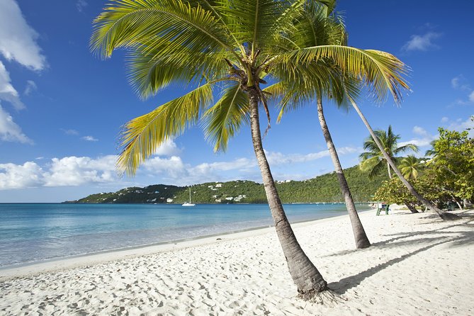 St Thomas Shore Excursion: Shopping, Sightseeing and Beach Tour - Key things that make this tour worth a look
