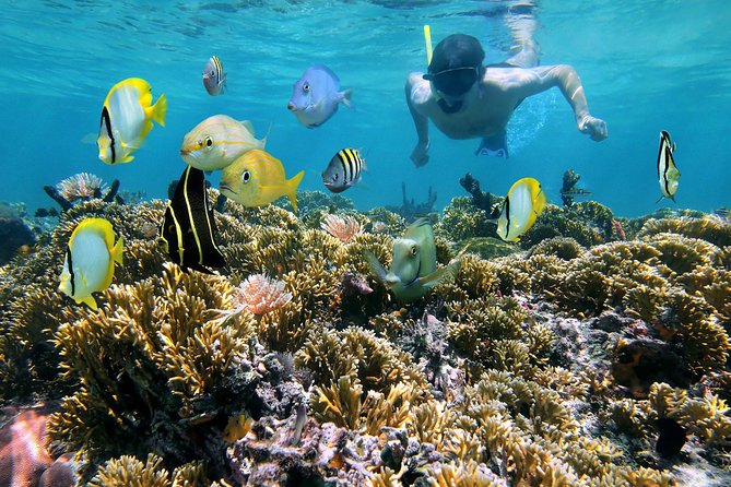 St Thomas~St John Snorkel, Swim & Beach Trip on MV Island Flyer - Key Points That Make This Trip Different