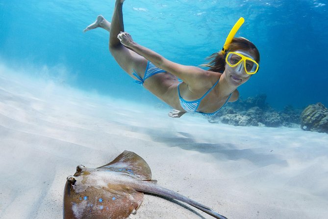 St Thomas~St John Snorkel, Swim & Beach Trip on MV Island Flyer - Why This St Thomas to St John Trip Feels Worth the $135