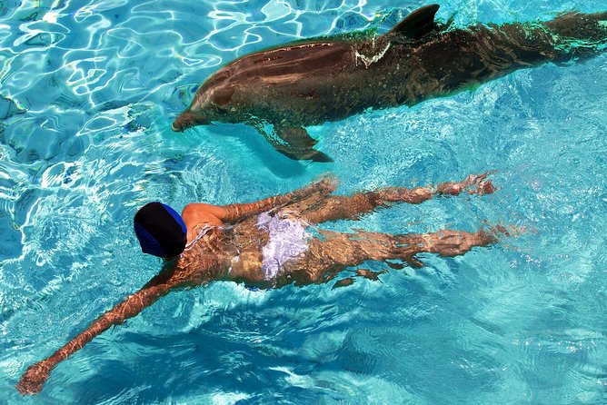 St Thomas~St John Snorkel, Swim & Beach Trip on MV Island Flyer - What the Snorkeling Feels Like in These Spots