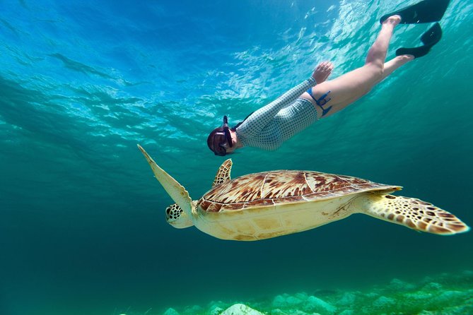 St Thomas~St John Snorkel, Swim & Beach Trip on MV Island Flyer - Meeting at American Yacht Harbor: Where You Go, and How Not to Stress