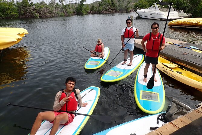 Stand Up Paddleboard Rental in St Thomas - Mangrove Lagoon wildlife viewing from offshore, the part you’ll remember