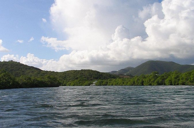 Stand Up Paddleboard Rental in St Thomas - Family friendly in real terms, with clear age guidance