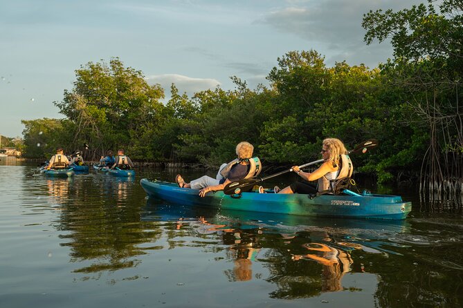 Sunset Kayak Tour in the Mangrove Lagoon, St Thomas - The paddling route through the mangrove lagoon, Bird Island, and Bovoni Cay