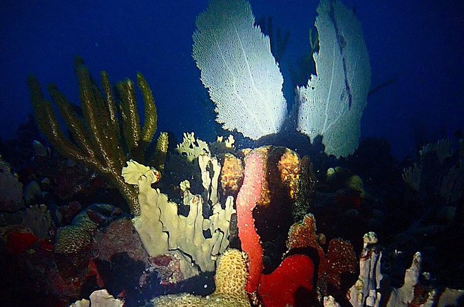 Sunset on the Water + Night Snorkeling with Guide in St. Thomas - Weather and why it can change your night