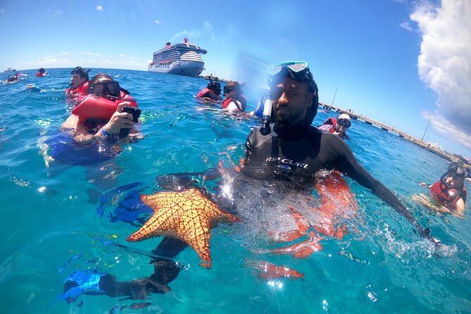 The Frederiksted St. Croix Sea Turtles Snorkeling Tour - Turtle Cove Meets Frederiksted Pier: The Setup That Makes Sea Turtle Snorkeling Work