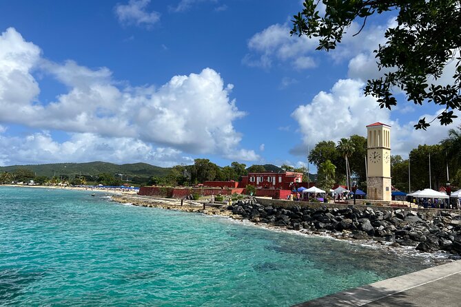 The Frederiksted St. Croix Sea Turtles Snorkeling Tour - Gear, What’s Included, and What You’ll Need to Bring