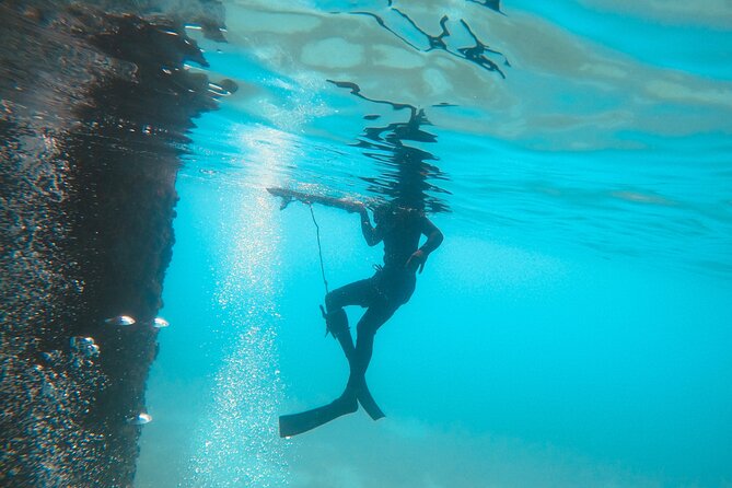 The Frederiksted St. Croix Sea Turtles Snorkeling Tour - Who This Tour Fits Best (and Who Might Want a Different Plan)