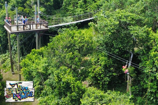 Tree Limin' Extreme Zipline - The course: six zip lines, two sky bridges, and the Yo-Yo finale