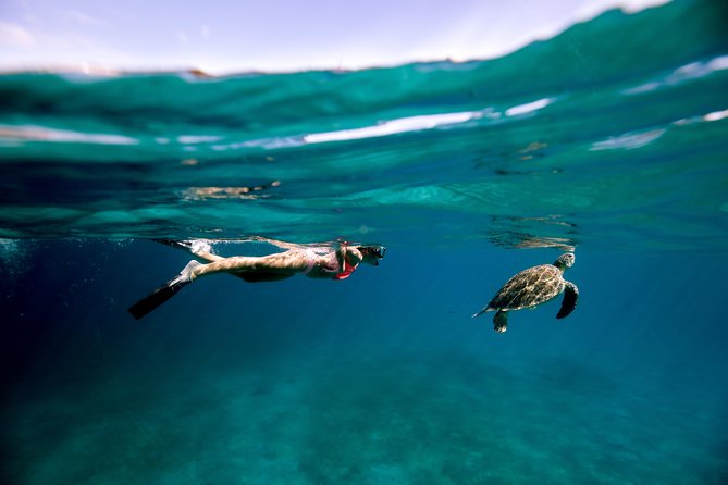 Turtle Cove Catamaran Snorkel and Sail at Little Buck Island STT - Key things to know before you go