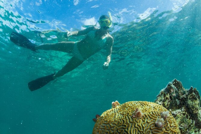 Turtle Snorkel Sail on Buck Island from Frenchman's Reef - Water Island after lunch: beach bars, food choices, and downtime