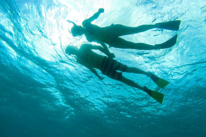 Turtle Snorkel Sail on Buck Island from Frenchman's Reef - Price and value: is $129 worth it?