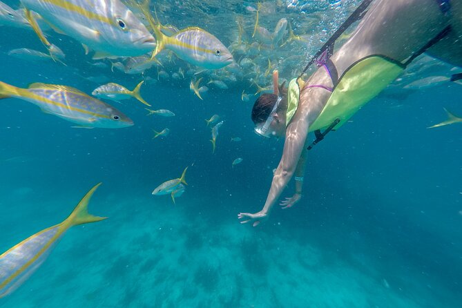 Turtle Snorkel Sail on Buck Island from Frenchman's Reef - Buck Island snorkeling: sea turtles, fish, and the shipwreck question