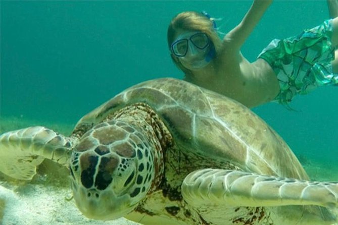 Turtles, Pizza Pi & Sunset trip - A half-day sail plan that actually makes sense