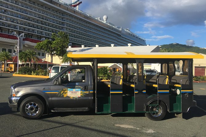 Two-Hour Sightseeing Excursion - Valdemar A. Hill Drive Scenic Overlook and Charlotte Amalie orientation