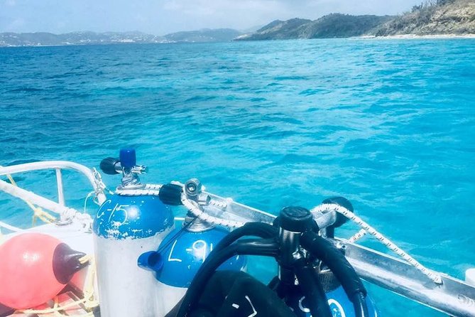 Two Tank Dive - Why this two-tank St Thomas outing works well for a short trip