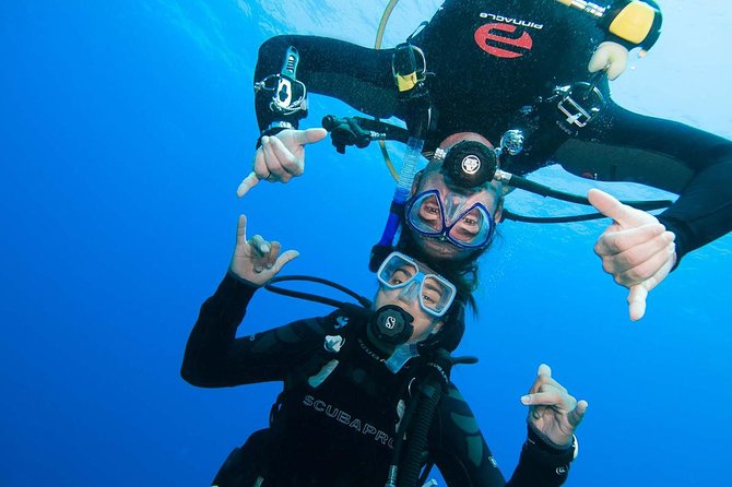 Two-Tank Dive for Certified Diving in St Thomas - Meeting at Saga Haven Marina and Getting Geared Up Fast