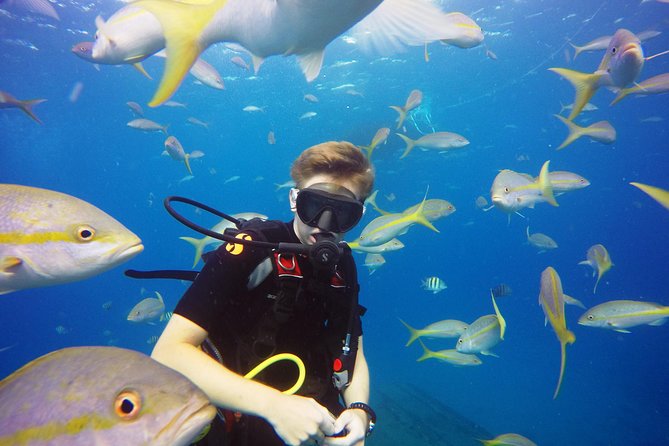 Two-Tank Dive for Certified Diving in St Thomas - The Boat Ride Back and Pirate Punch for Adults
