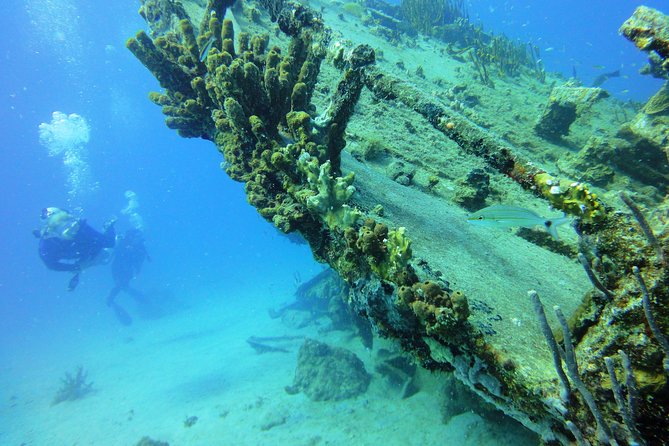 Two-Tank Dive for Certified Diving in St Thomas - Price and Logistics: Does $189 Feel Fair?