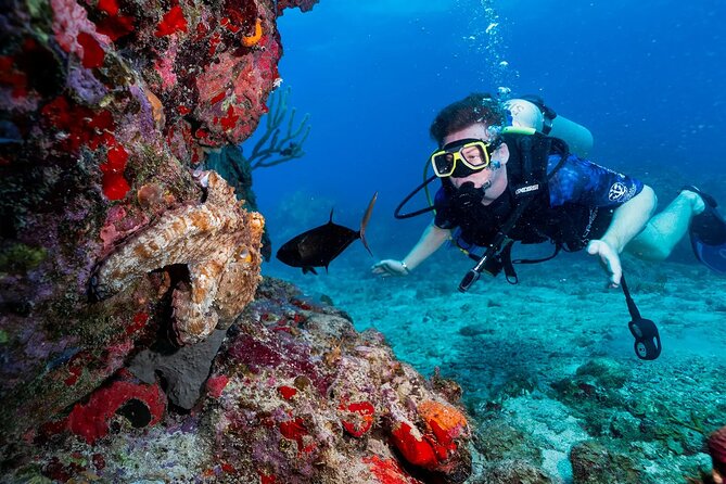 Two-Tank Morning Dive Trip for Certified Divers - Tank One: Your First Reef Session on St John’s Local Sites