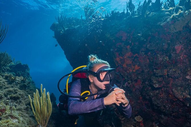 Two-Tank Morning Dive Trip for Certified Divers - Tank Two: Getting the Most Out of Your Second Reef Look