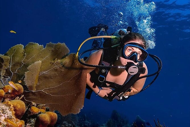 Two-Tank Morning Dive Trip for Certified Divers - Boat Comfort and Crew Pace: What Makes People Want to Repeat