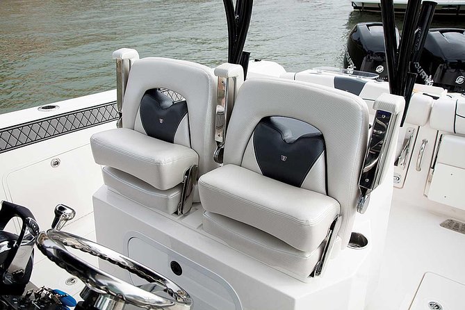 USVI Private Boat Charters - New, Fast Powerboats for Half and Full Day - What I like about the captain-led snorkeling and sea life chances