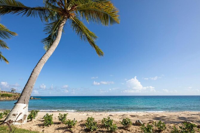 Vi Top Taxi & Tours -Airport Transfer to Bolongo Bay/ Limetree - Comfort Details That Actually Matter: A/C and Bottled Water