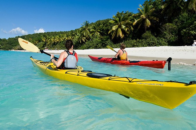Vi Top Taxi &Tours USVI-St Thomas Private Group-Island Tour - Magen’s Bay: gorgeous, but you control the ticket