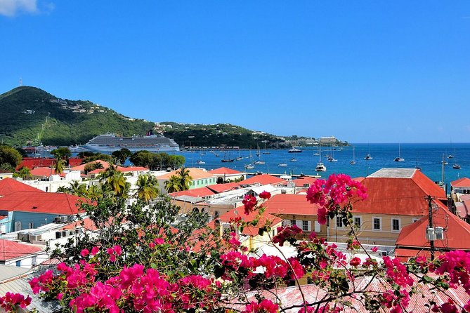 Vi Top Taxi &Tours USVI-St Thomas Private Group-Island Tour - The private format: why groups keep praising the driver